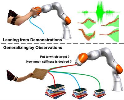 An Improvement of Robot Stiffness-Adaptive Skill Primitive Generalization Using the Surface Electromyography in Human–Robot Collaboration